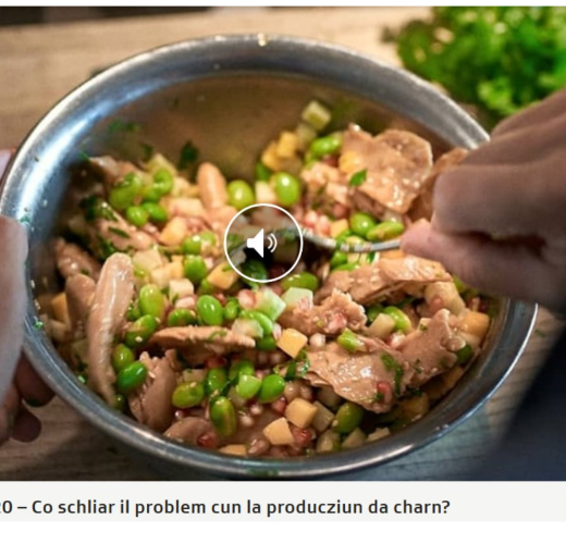 RTR - Are plants the meat of the future?
